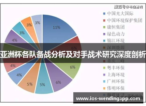 亚洲杯各队备战分析及对手战术研究深度剖析