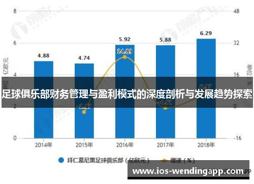 足球俱乐部财务管理与盈利模式的深度剖析与发展趋势探索