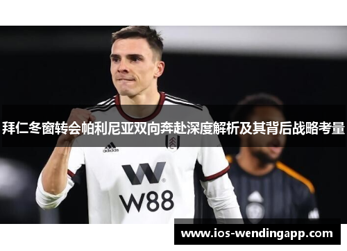 拜仁冬窗转会帕利尼亚双向奔赴深度解析及其背后战略考量