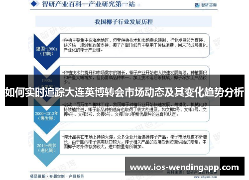 如何实时追踪大连英博转会市场动态及其变化趋势分析