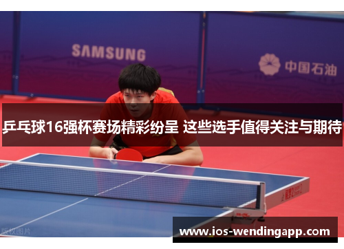 乒乓球16强杯赛场精彩纷呈 这些选手值得关注与期待
