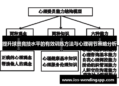 提升球员竞技水平的有效训练方法与心理调节策略分析