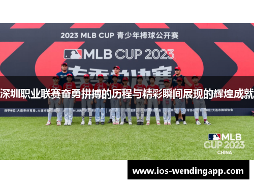 深圳职业联赛奋勇拼搏的历程与精彩瞬间展现的辉煌成就