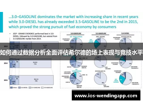 如何通过数据分析全面评估希尔德的场上表现与竞技水平