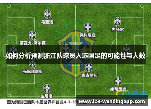 如何分析预测浙江队球员入选国足的可能性与人数