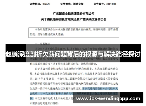 赵鹏深度剖析欠薪问题背后的根源与解决路径探讨